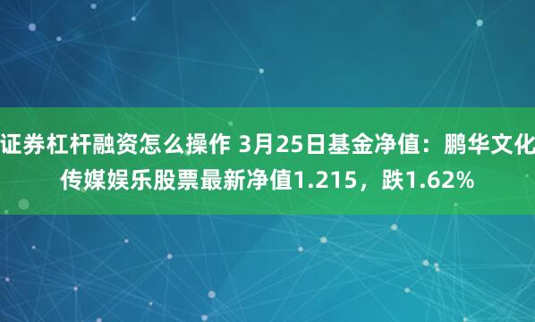 证券杠杆融资怎么操作 3月25日基金净值：鹏华文化传媒娱乐股票最新净值1.215，跌1.62%