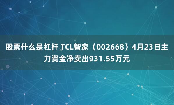 股票什么是杠杆 TCL智家（002668）4月23日主力资金净卖出931.55万元