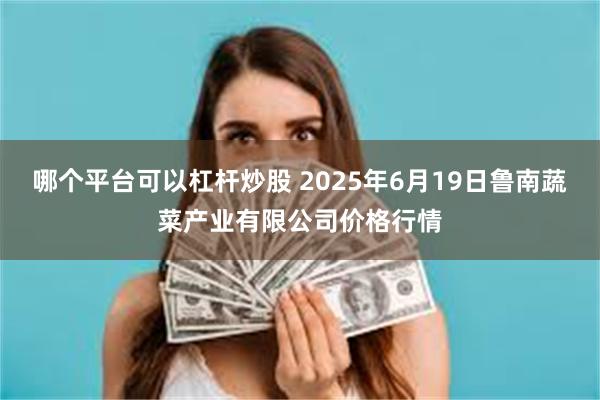 哪个平台可以杠杆炒股 2025年6月19日鲁南蔬菜产业有限公司价格行情