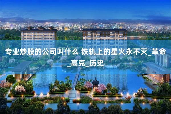 专业炒股的公司叫什么 铁轨上的星火永不灭_革命_高克_历史