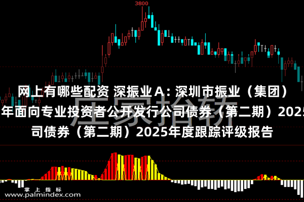 网上有哪些配资 深振业Ａ: 深圳市振业（集团）股份有限公司2023年面向专业投资者公开发行公司债券（第二期）2025年度跟踪评级报告