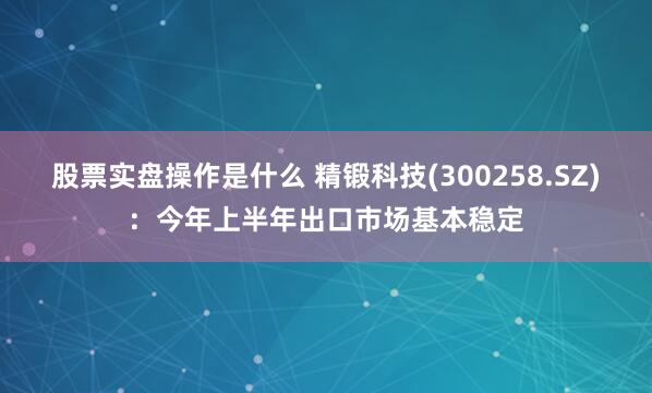 股票实盘操作是什么 精锻科技(300258.SZ)：今年上半年出口市场基本稳定