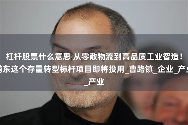 杠杆股票什么意思 从零散物流到高品质工业智造！浦东这个存量转型标杆项目即将投用_曹路镇_企业_产业