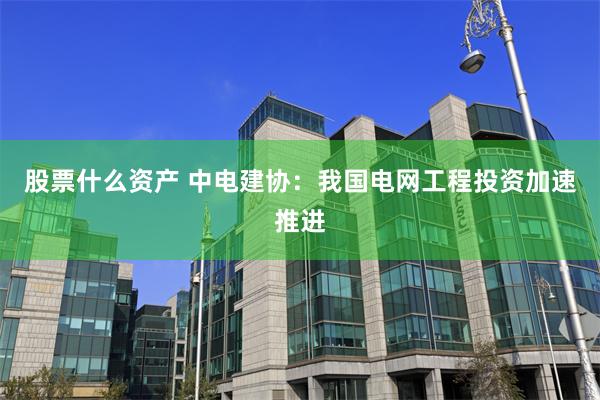 股票什么资产 中电建协：我国电网工程投资加速推进
