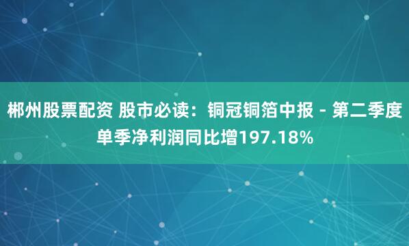 郴州股票配资 股市必读：铜冠铜箔中报 - 第二季度单季净利润同比增197.18%