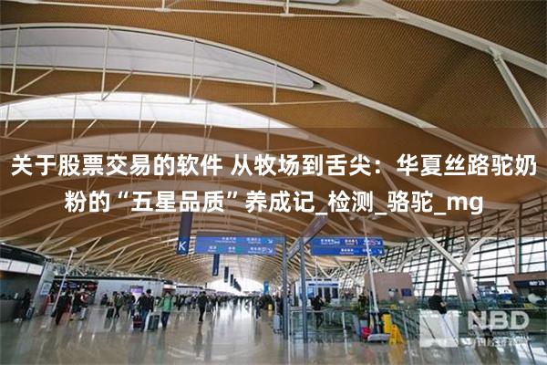 关于股票交易的软件 从牧场到舌尖：华夏丝路驼奶粉的“五星品质”养成记_检测_骆驼_mg