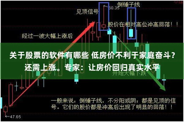关于股票的软件有哪些 低房价不利于家庭奋斗?还需上涨。专家:让房价回归真实水平
